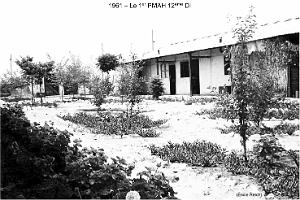 144-AERODROME-ET-BASE-1945-1962-28-  (44) TLEMCEN ZENATA